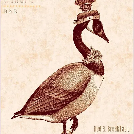فندق مبيت وإفطار Madame Canard بافينو