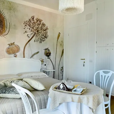 Madame Canard Bed & Breakfast Baveno